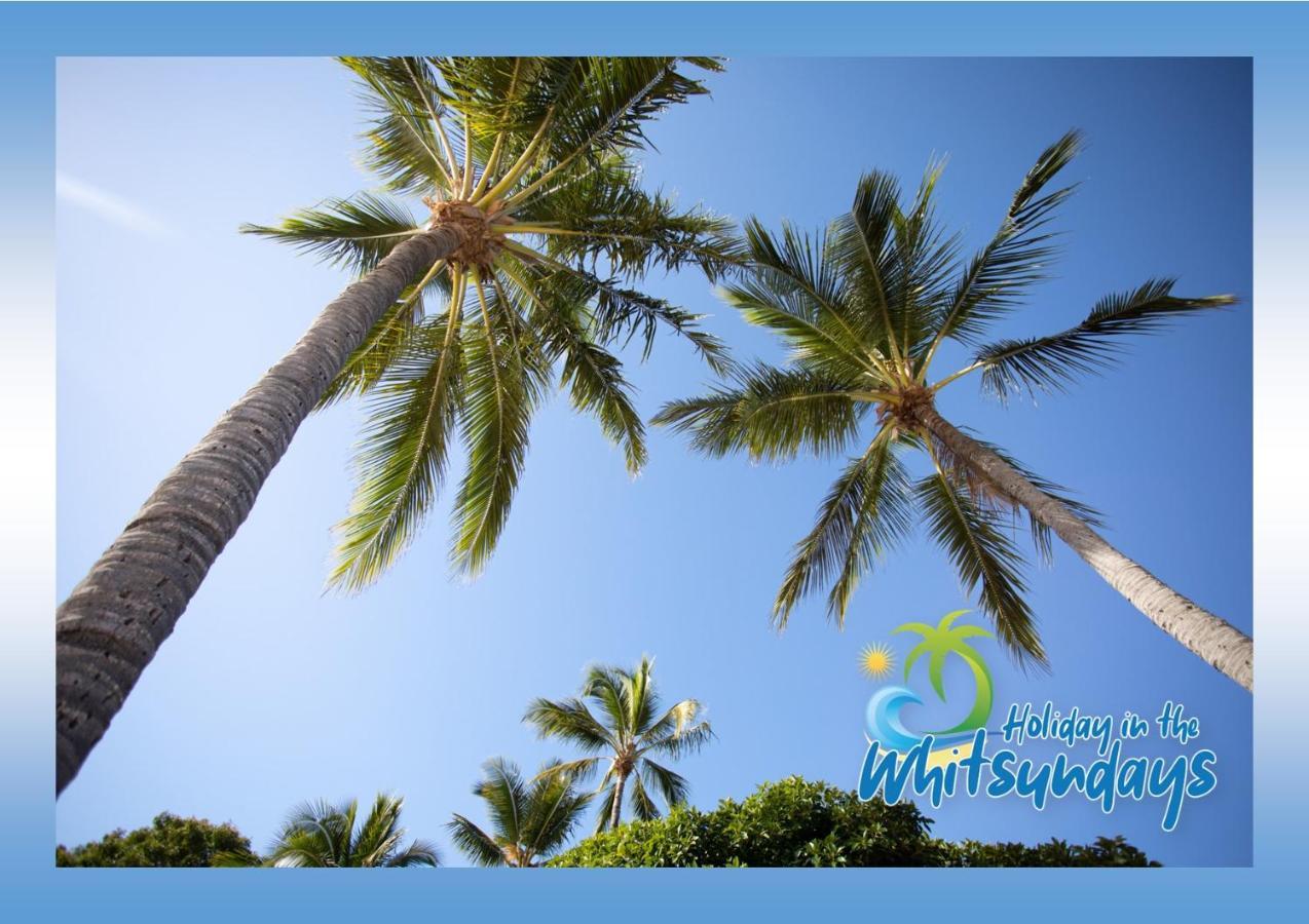 Ocean Views 16 Pool & Spa Wi-Fi Airlie Beach Eksteriør bilde